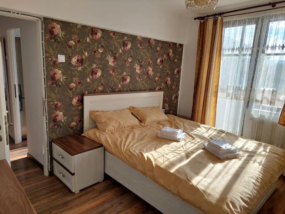 Apartament In Sighetu Marmatiei Apartment Ngoại thất bức ảnh
