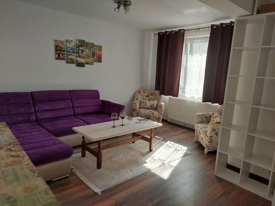 Apartament In Sighetu Marmatiei Apartment Ngoại thất bức ảnh